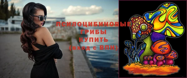 дживик Балахна