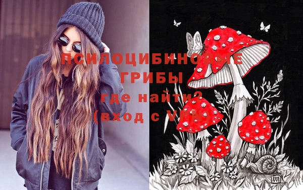 дживик Балахна