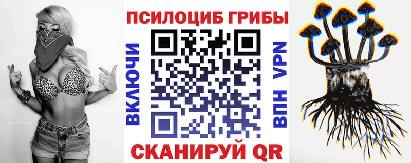 купить наркотики сайты  блэк спрут ССЫЛКА  Галлюциногенные грибы мухоморы  Семикаракорск 